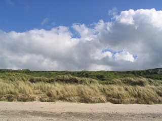 Sand-Dunes2
