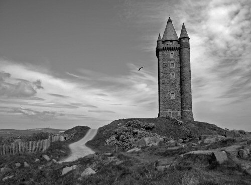 Scrabo Tower_JulieStewart
