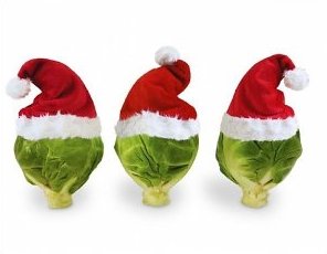Santa Sprouts
