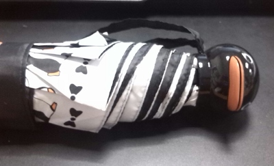 IMG_20140124_152739-1 (400x243)