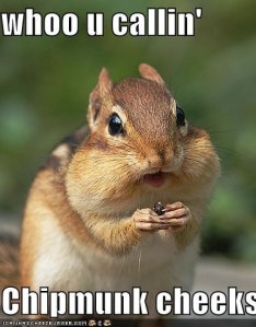 Chipmunk Cheeks