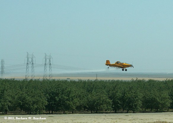 Delphine - 2015-07-13-bw-beacham