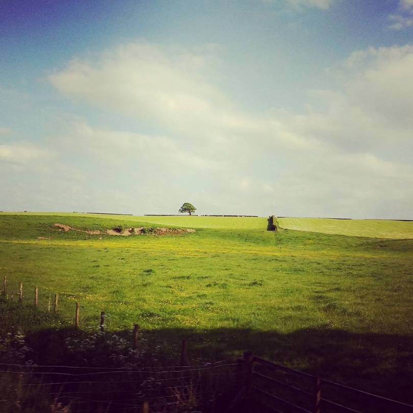 13346531_1754850874737654_2857718271180493514_n