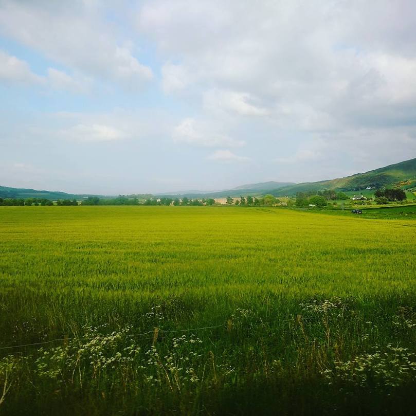 13423858_1754850861404322_3999236585435259916_n